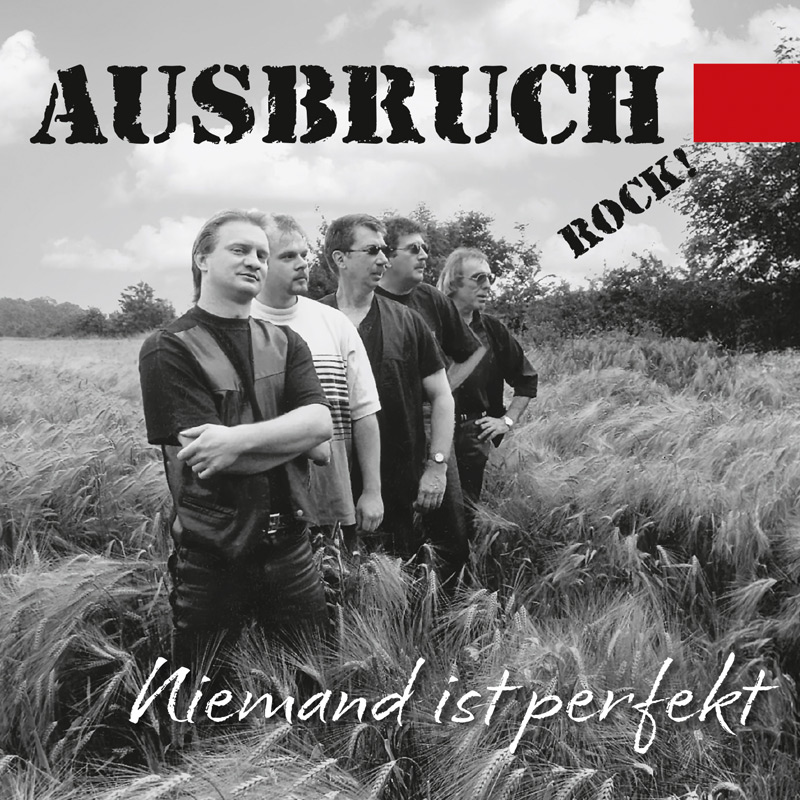 Niemand ist perfekt (remastered)